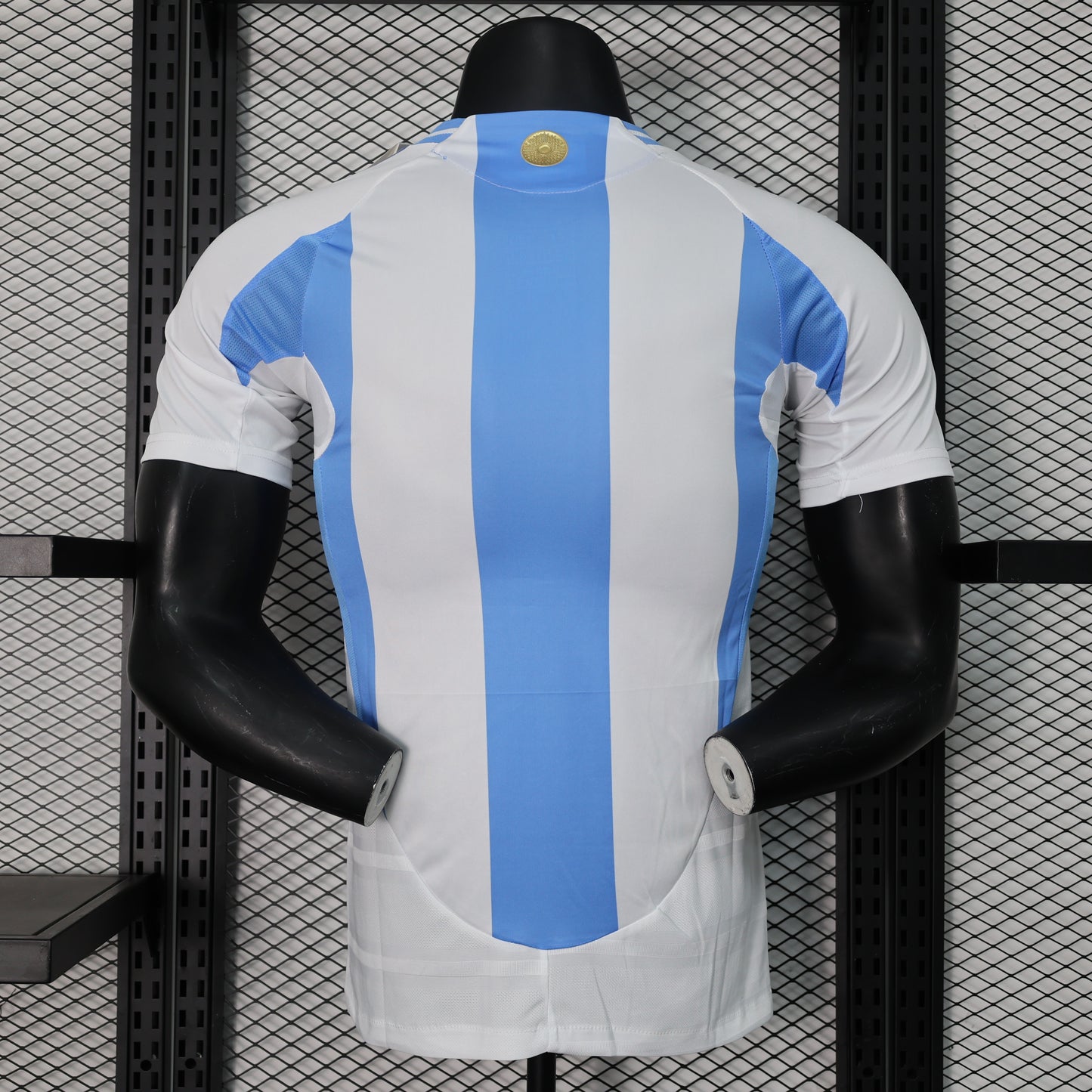 Argentina home 2024 player version