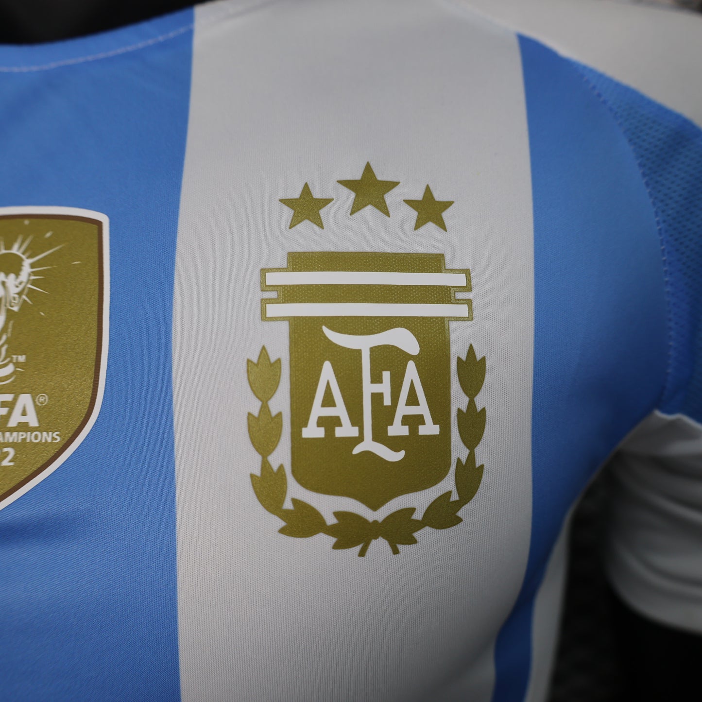 Argentina home 2024 player version