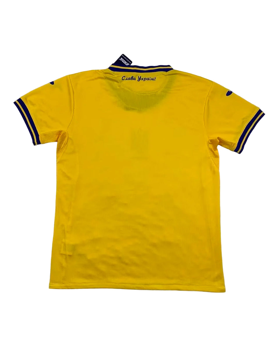 Ucraina home 2024