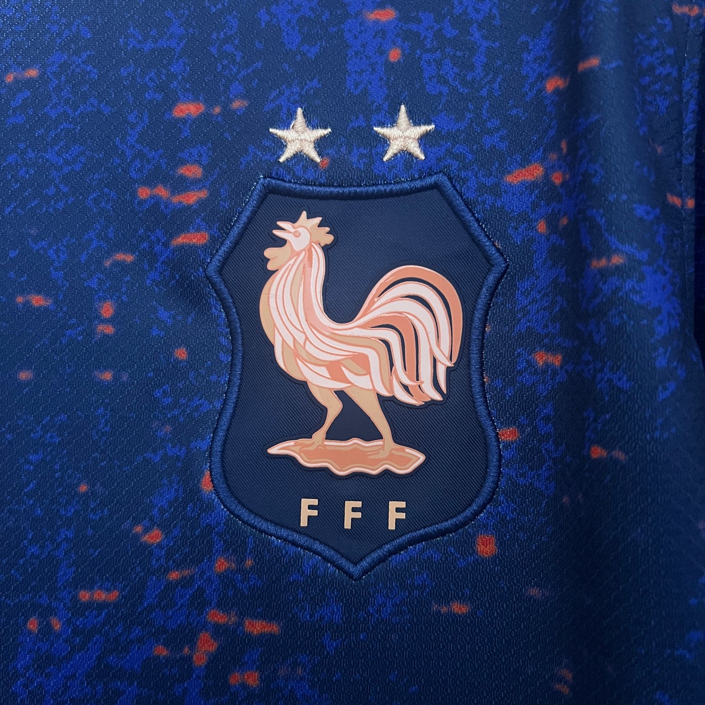 Francia Hogar 2025