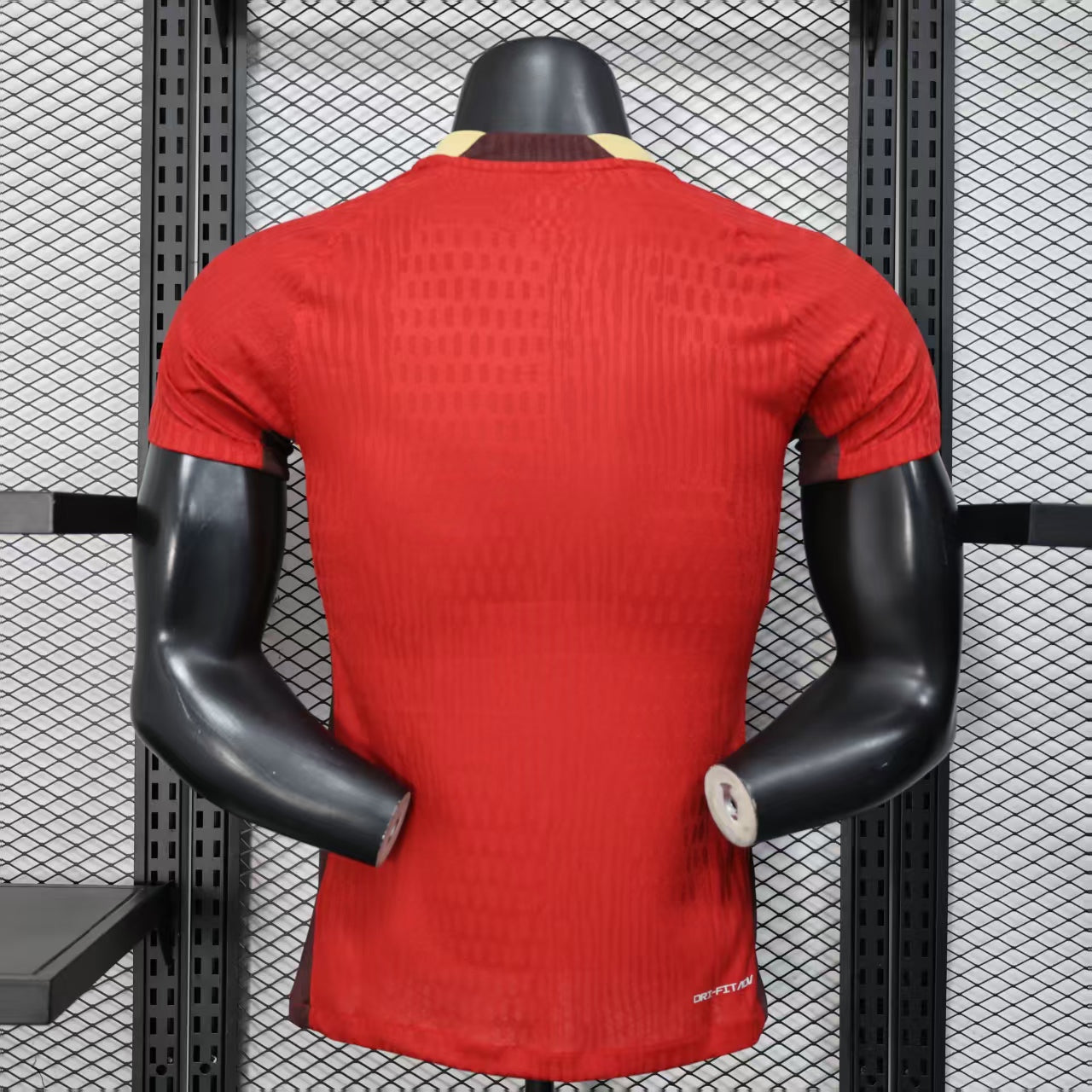 Cina home 2025 player version