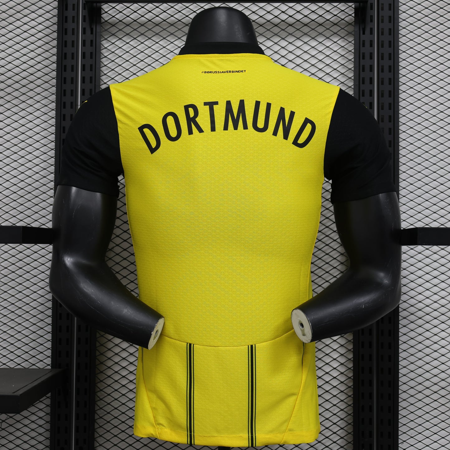 Versión de jugador del Borussia Dortmund local 2024/25