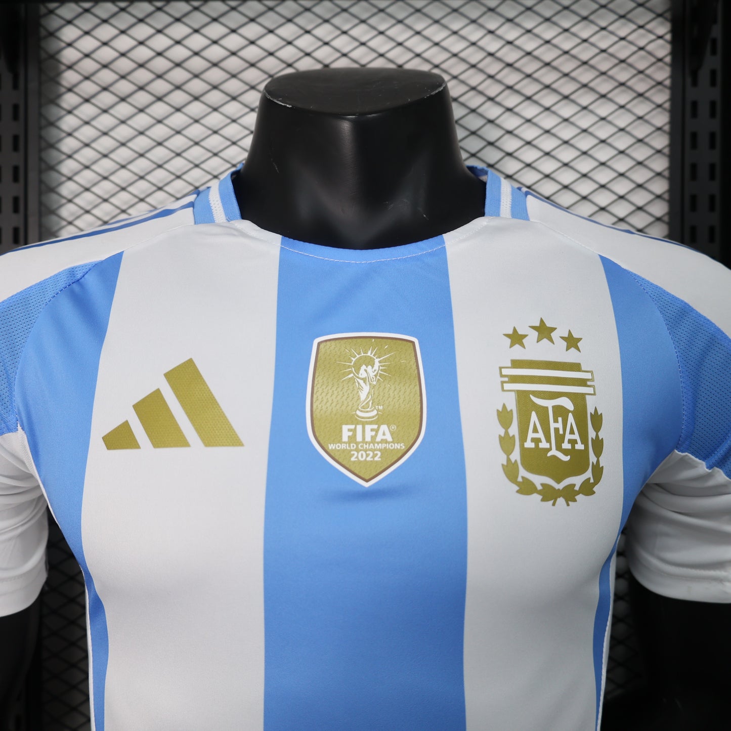 Argentina home 2024 player version