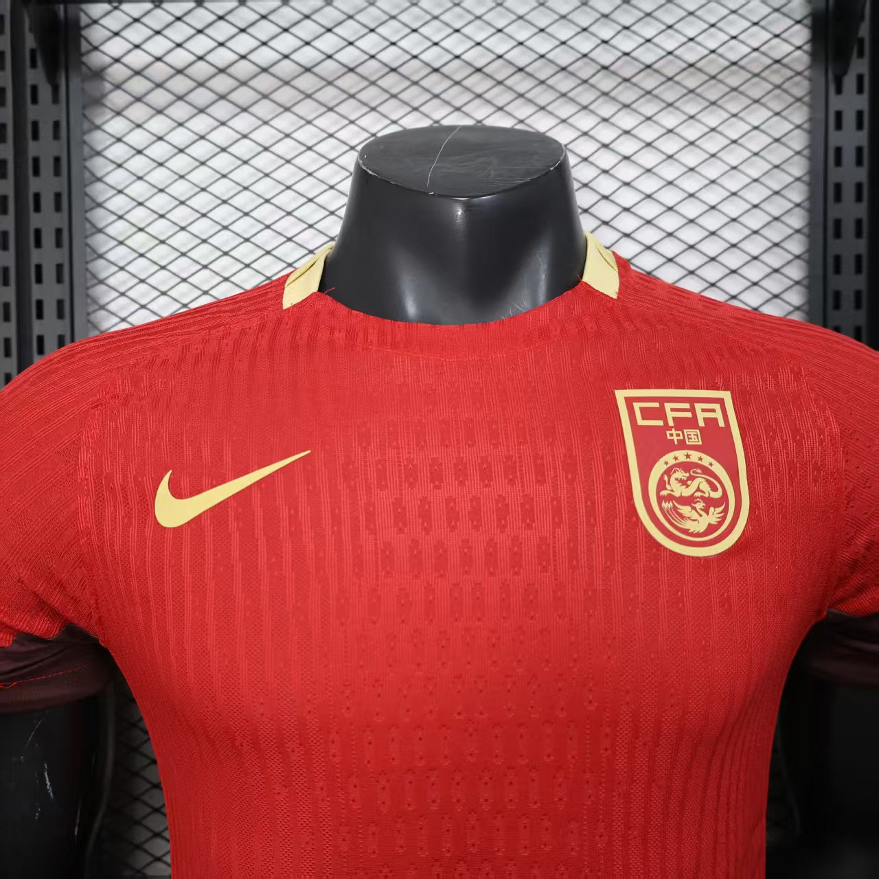 Cina home 2025 player version