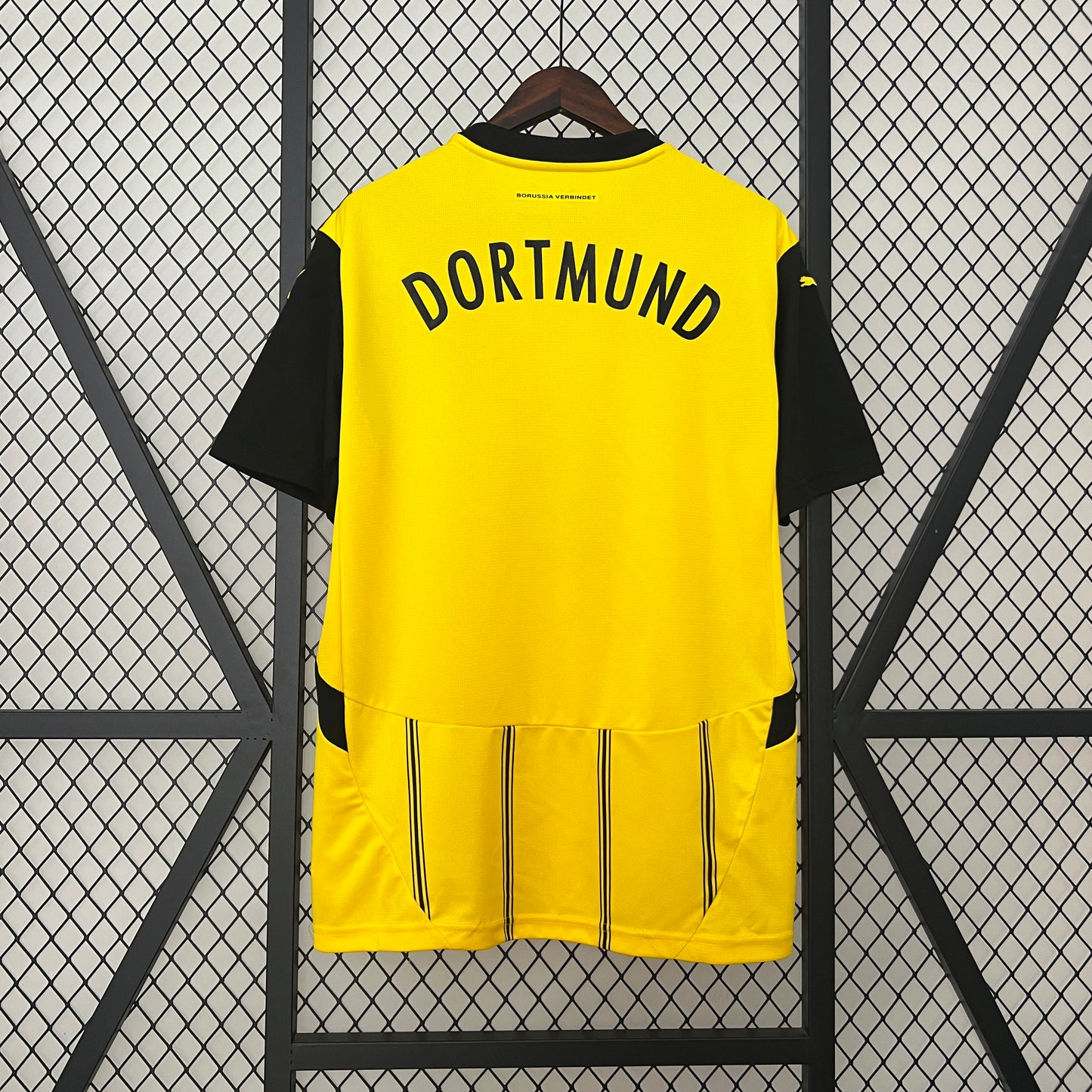 Borussia Dortmund local 2024/25