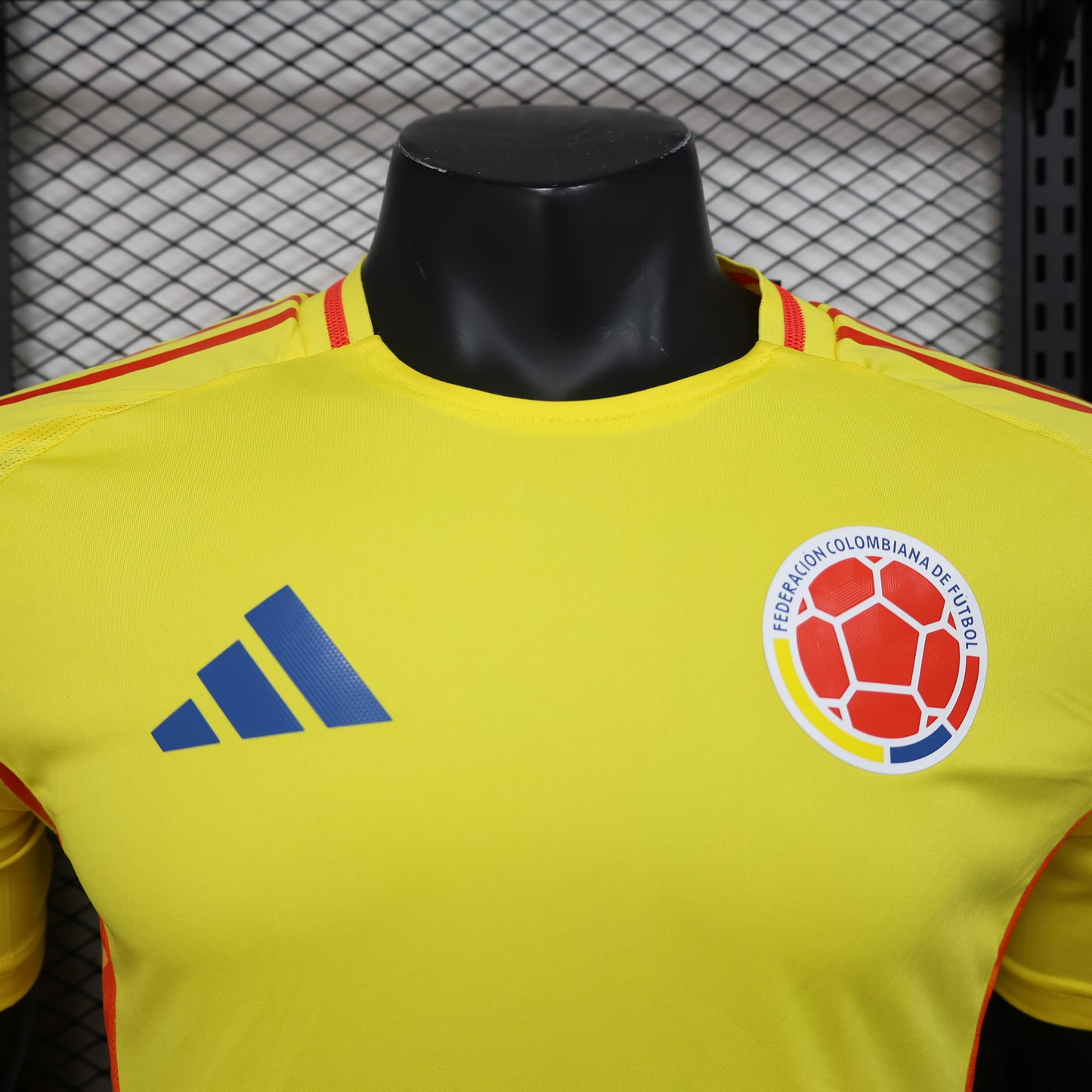 Colombia home 2024 player version