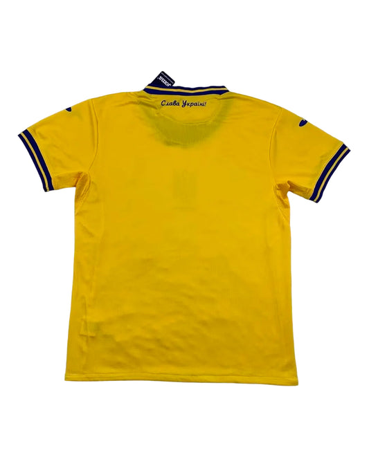 Ucraina home 2024