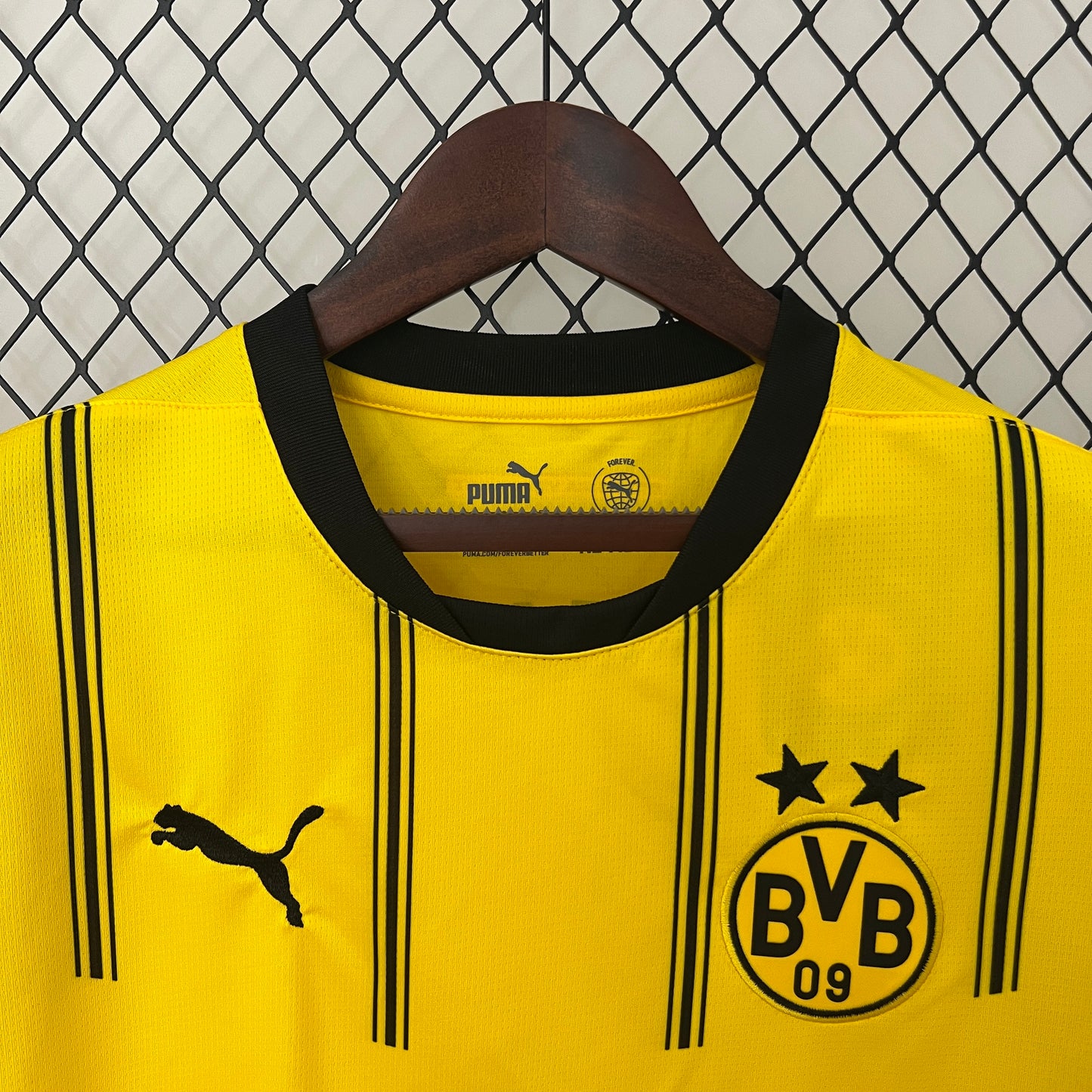 Borussia Dortmund local 2024/25