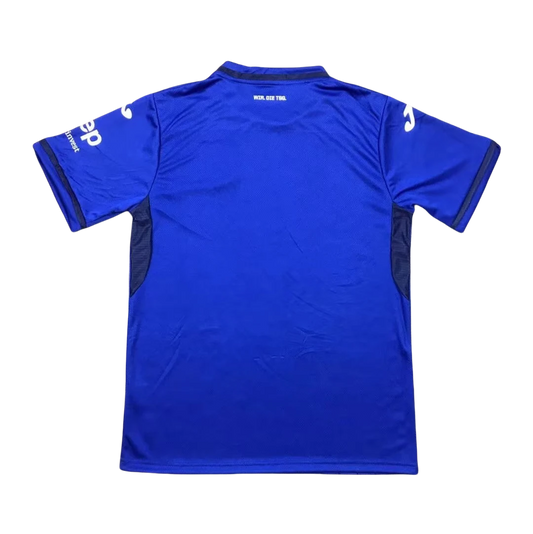 TSG 1899 Hoffenheim en casa 2024/25