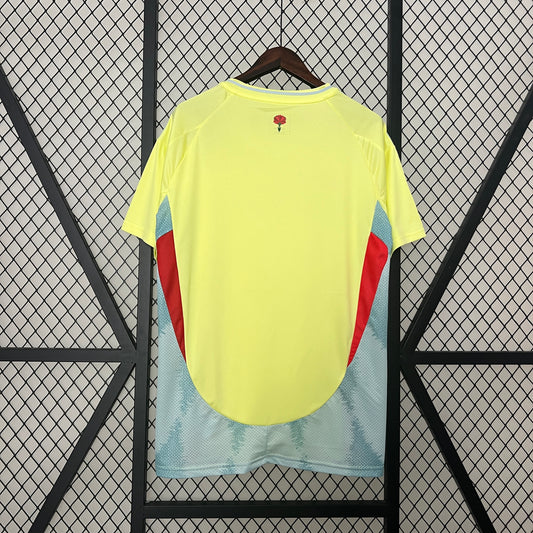 Spain away 2024