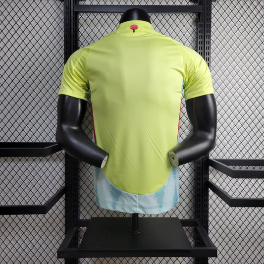 Spain away 2024 player version