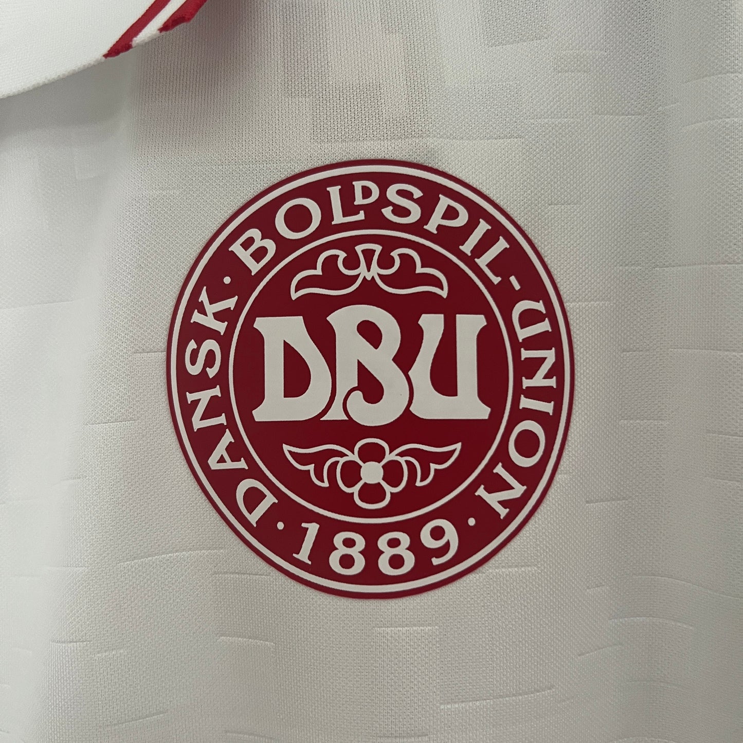 Dinamarca fuera de casa 2024